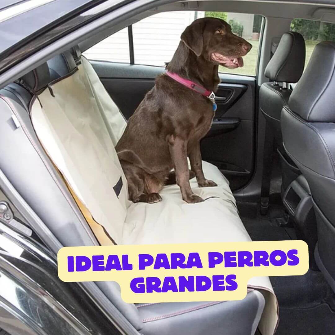 Funda Protectora Pet Zoom – Cuida Tu Auto, Disfruta con Tu Mascota