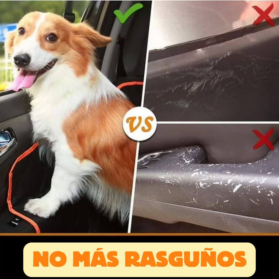 Funda Protectora Pet Zoom – Cuida Tu Auto, Disfruta con Tu Mascota